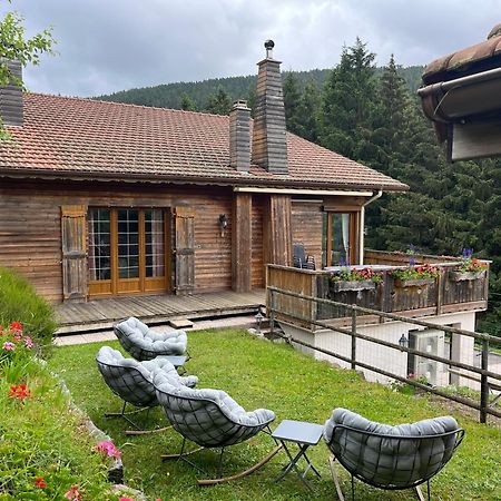 Au 21 Vosgien Bed & Breakfast Ventron Luaran gambar