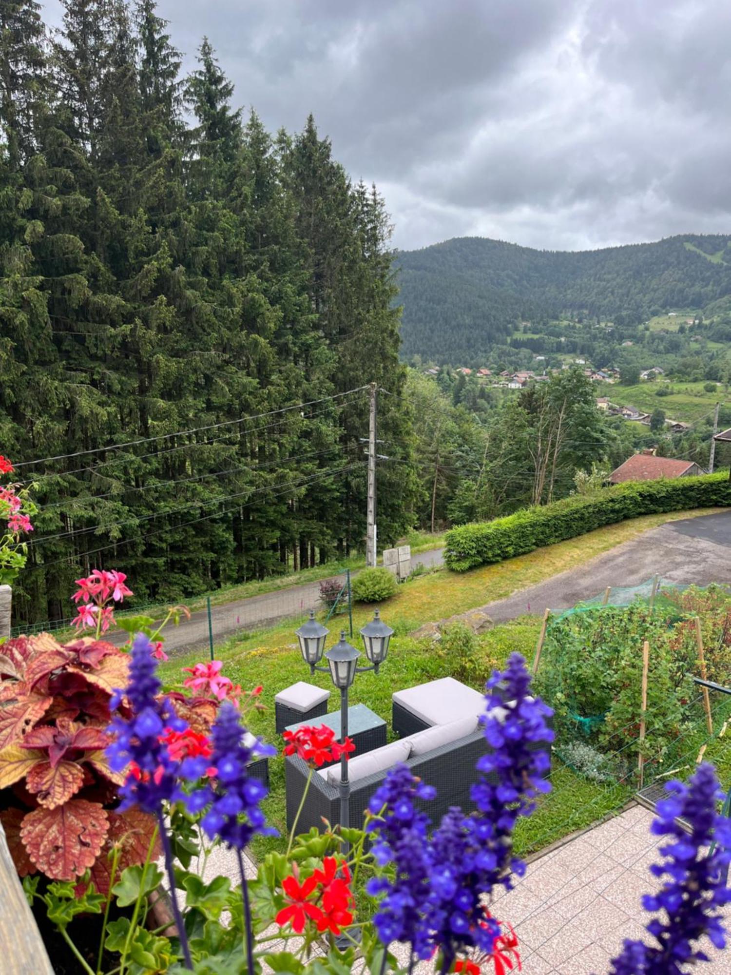 Au 21 Vosgien Bed & Breakfast Ventron Luaran gambar